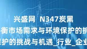 兴盛网  N347炭黑定价调整平衡市场需求与环境保护的挑战与机遇_行业_企业_影响