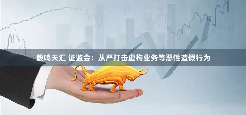 毅鸣天汇 证监会：从严打击虚构业务等恶性造假行为