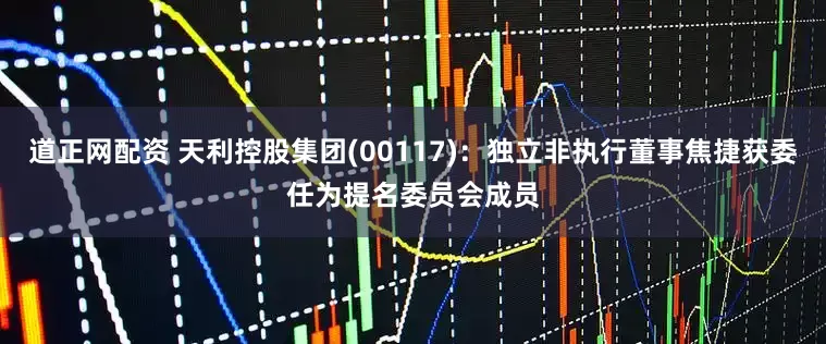 道正网配资 天利控股集团(00117)：独立非执行董事焦捷获委任为提名委员会成员